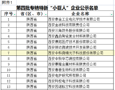 西安中科微精光子科技股份有限公司